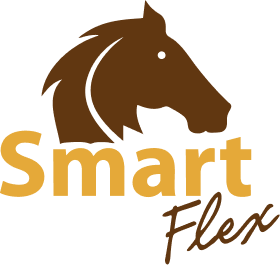 Smart Flex Logo